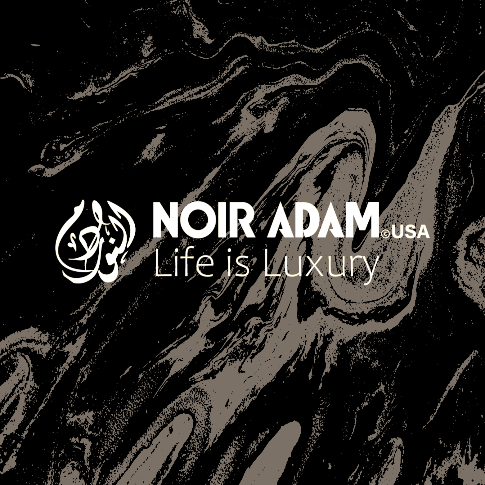 Brand Identity Brief – ANOOR ADAM
