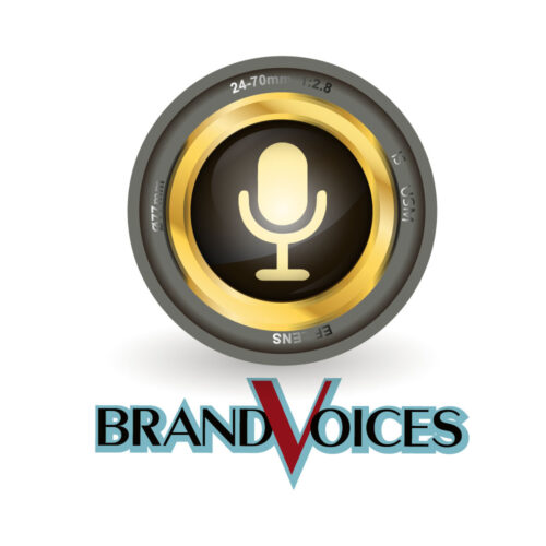 BRAND VOICE LOGO